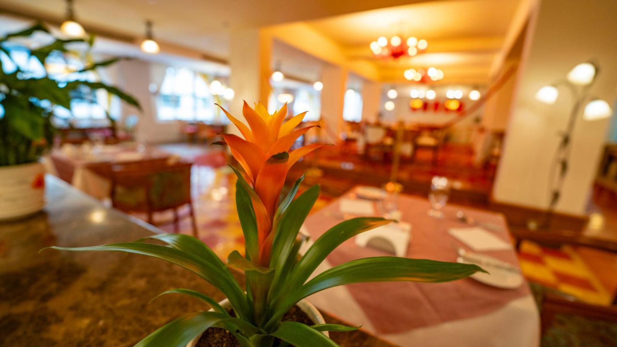 Отель Riviera 4*